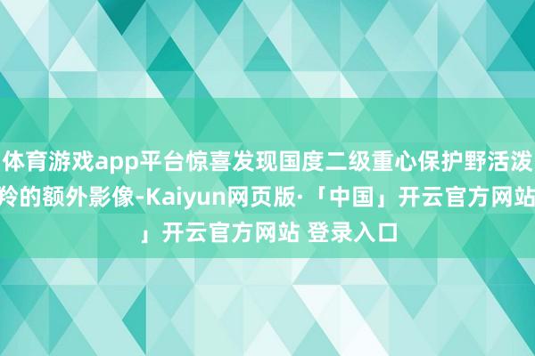 体育游戏app平台惊喜发现国度二级重心保护野活泼物中华鬣羚的额外影像-Kaiyun网页版·「中国」开云官方网站 登录入口