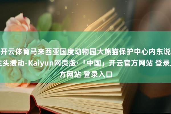 开云体育马来西亚国度动物园大熊猫保护中心内东说念主头攒动-Kaiyun网页版·「中国」开云官方网站 登录入口