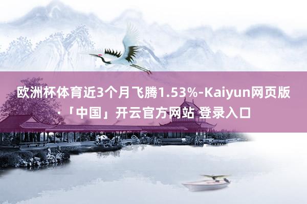 欧洲杯体育近3个月飞腾1.53%-Kaiyun网页版·「中国」开云官方网站 登录入口