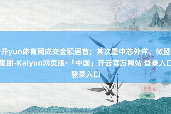 开yun体育网成交金额居首;其次是中芯外洋、微盟集团-Kaiyun网页版·「中国」开云官方网站 登录入口