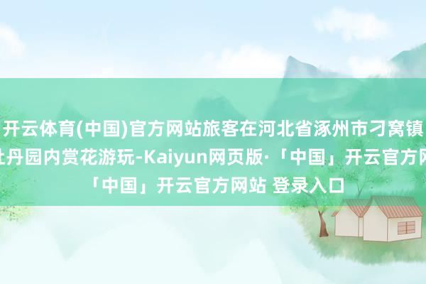 开云体育(中国)官方网站旅客在河北省涿州市刁窝镇东找子营村牡丹园内赏花游玩-Kaiyun网页版·「中国」开云官方网站 登录入口